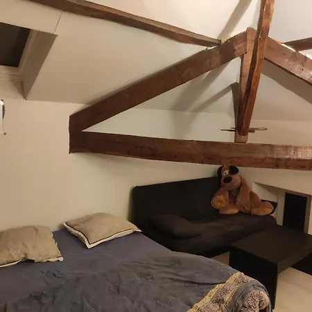 Kwatera prywatna Pause A La Campagne Au Grand Air Des Pyrenees *